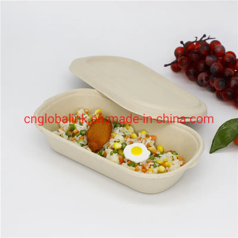 Compostable Tableware Food Packaging Fast Food Takeaway Dinner Container
