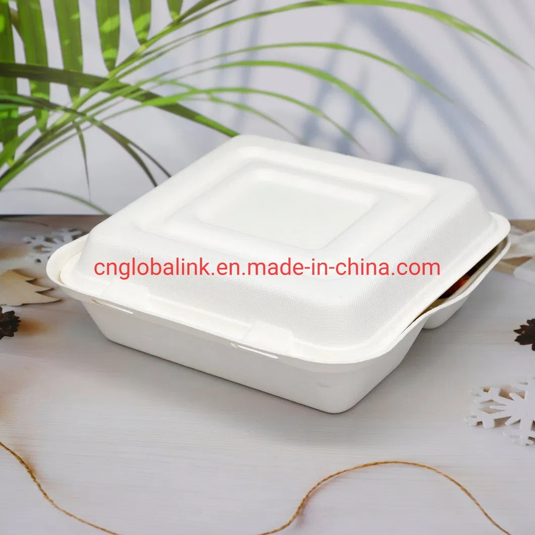 Compostable Tableware Food Packaging Fast Food Takeaway Dinner Container