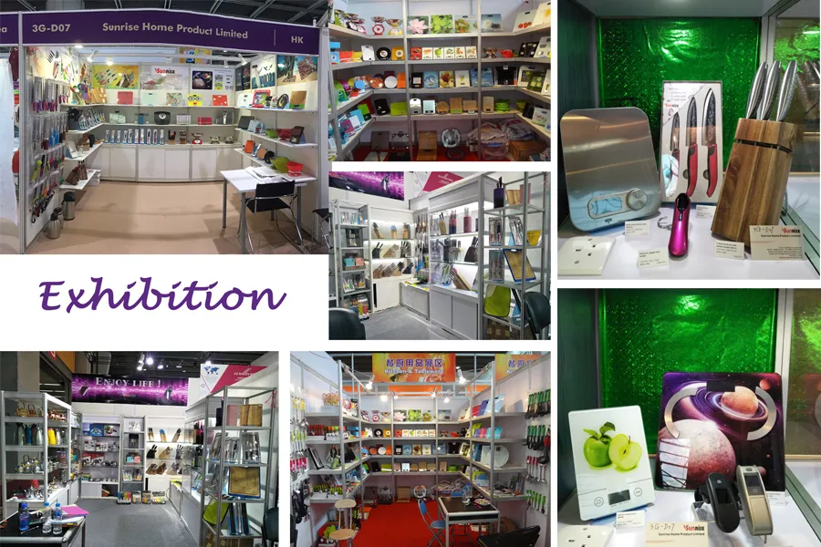 Custom Kitchenware Silicone Cleaning Brush/BBQ Brush with PP Handle (KTS033)