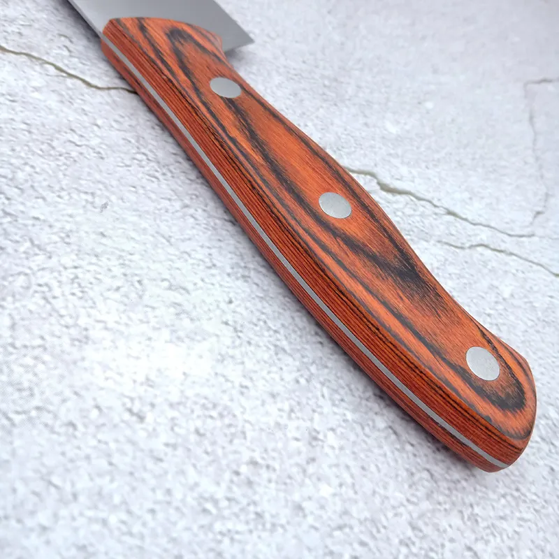 Custom Wood Handle Full Tang Stainless Steel Kitchen Fruit Knife