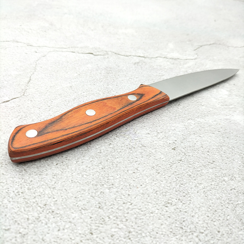 Custom Wood Handle Full Tang Stainless Steel Kitchen Fruit Knife