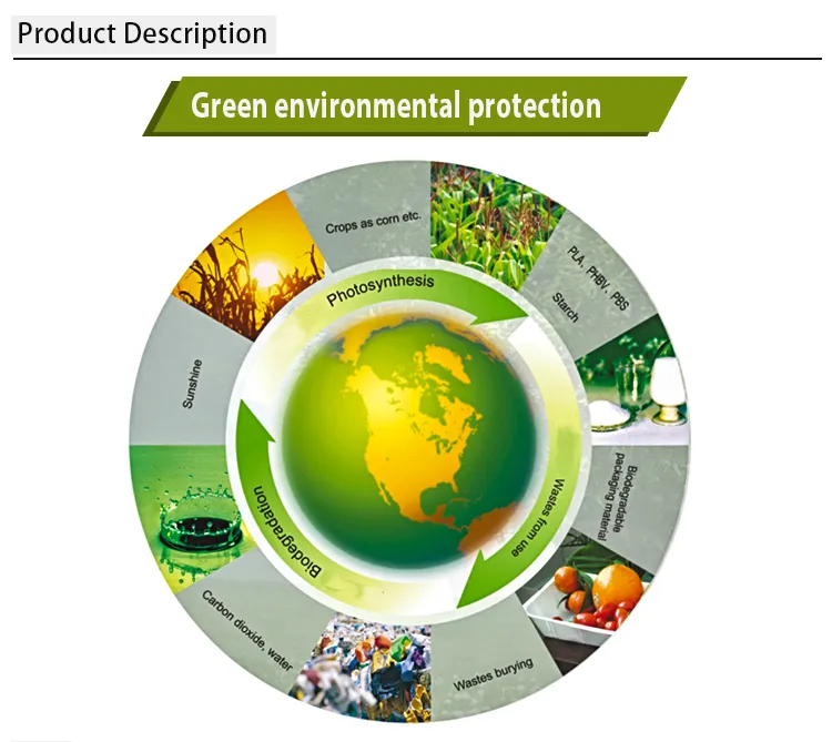 Customized Logo Printing 500/750/1000ml Microwave Food Container Eco Disposable Corn Starch Box with Lid for Lunch