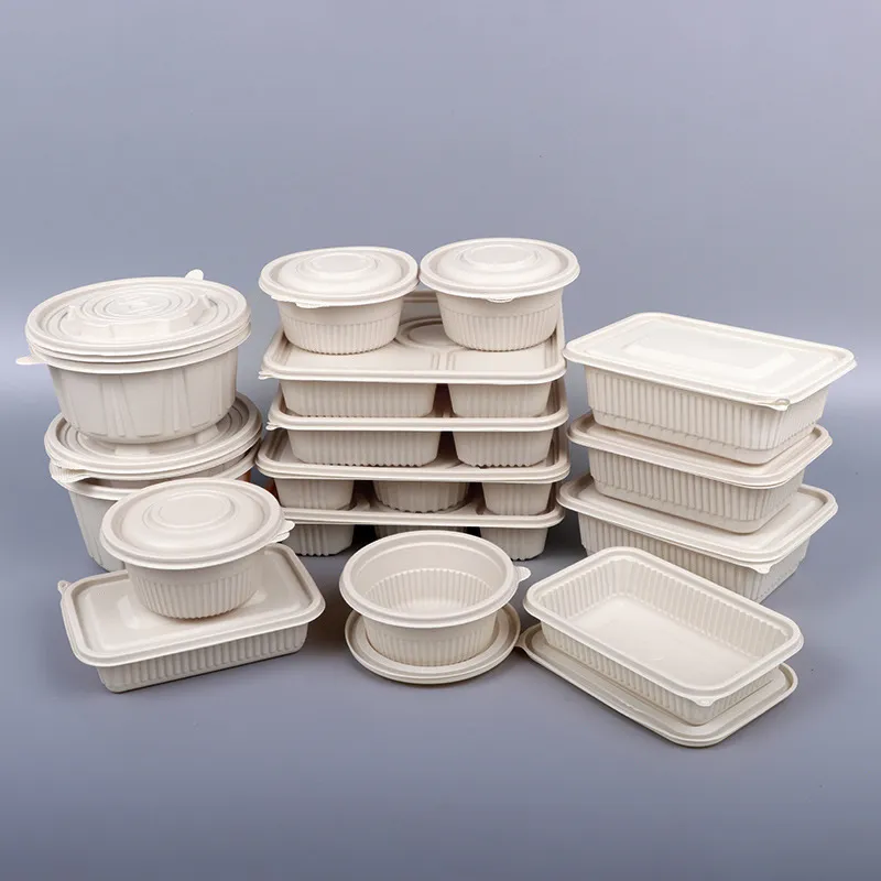 Disposable Lunch Box