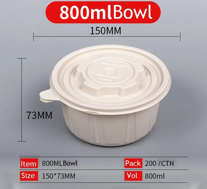 Disposable Lunch Box