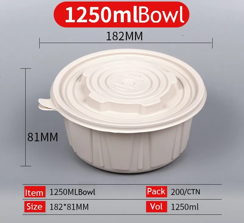 Disposable Lunch Box