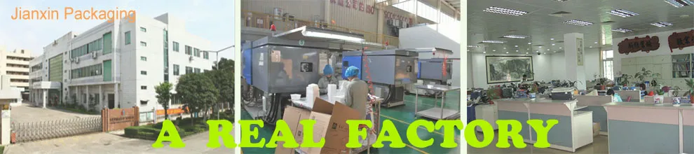 Disposable Plastic Packaging Recyclable Food Container