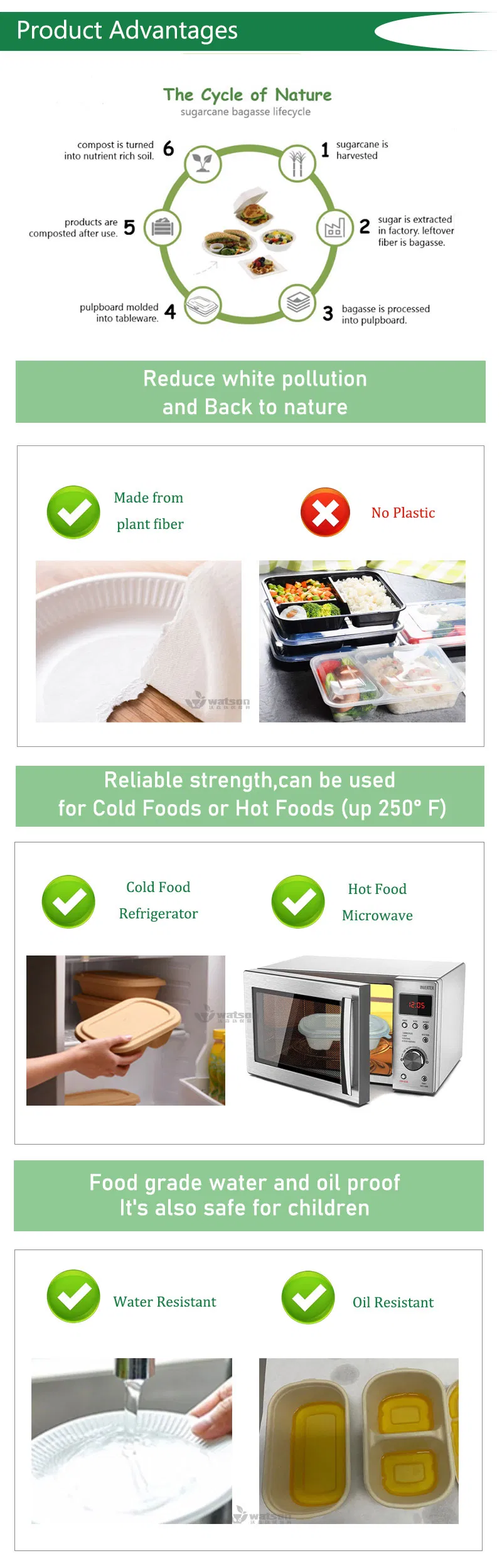 Disposable Takeaway Paper Pulp Biodegradable Sugarcane Food Container