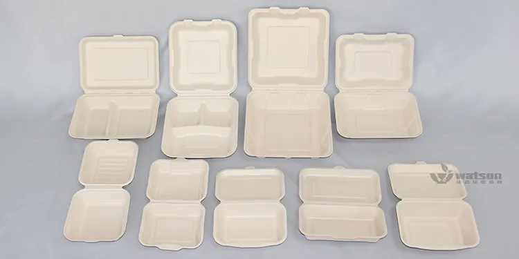 Disposable Takeaway Paper Pulp Biodegradable Sugarcane Food Container