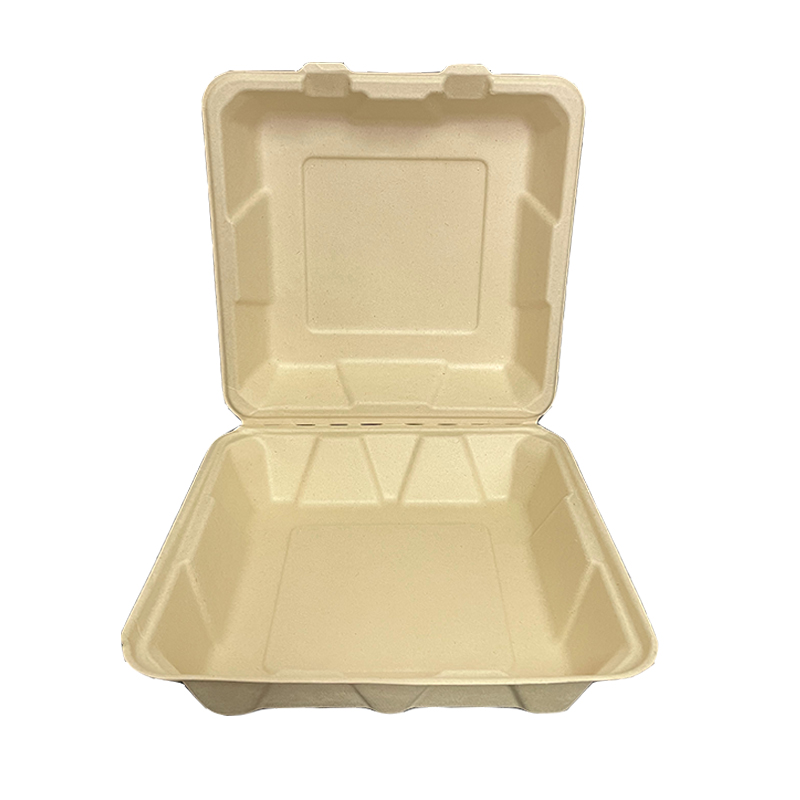 Disposable Takeaway Paper Pulp Biodegradable Sugarcane Food Container