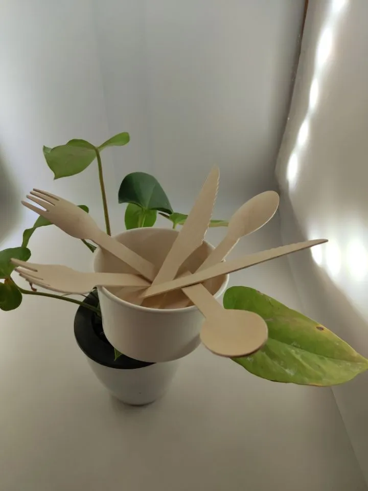 Disposable Wooden Fork Biodegradable Eco-Friendly Tableware Cake Fruit Fork FDA