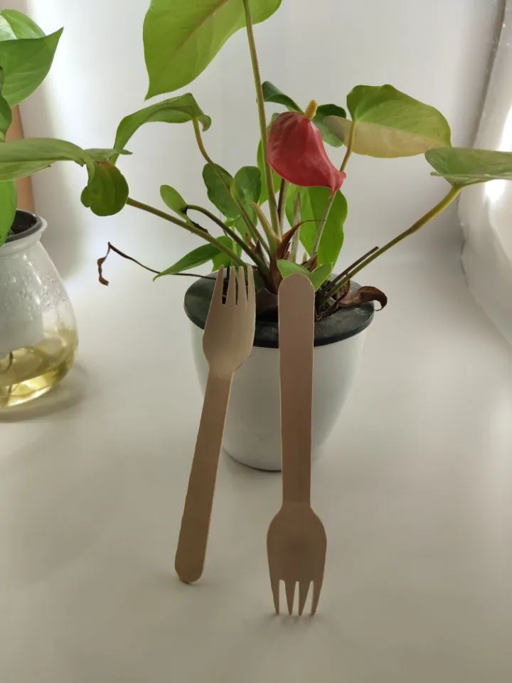 Disposable Wooden Fork Biodegradable Eco-Friendly Tableware Cake Fruit Fork FDA