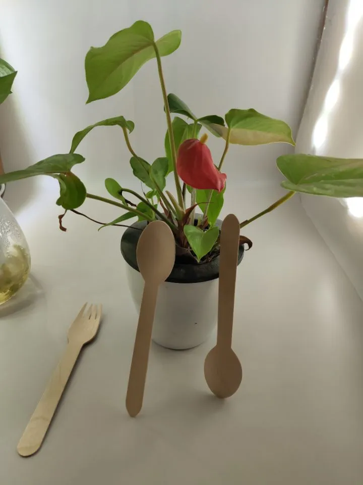 Disposable Wooden Fork Biodegradable Eco-Friendly Tableware Cake Fruit Fork FDA