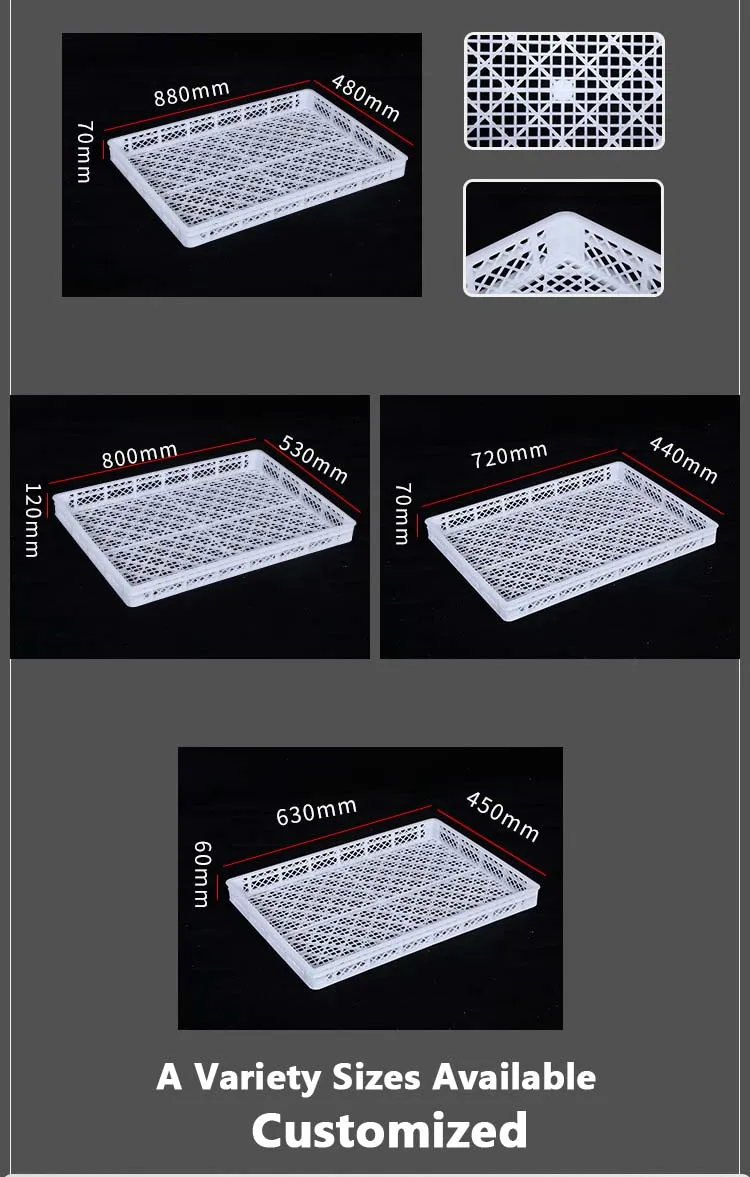 Drying Tray Traditional Chinese Medicine/ Seafood /Fruits / Vegetables Drying Plastic Tray