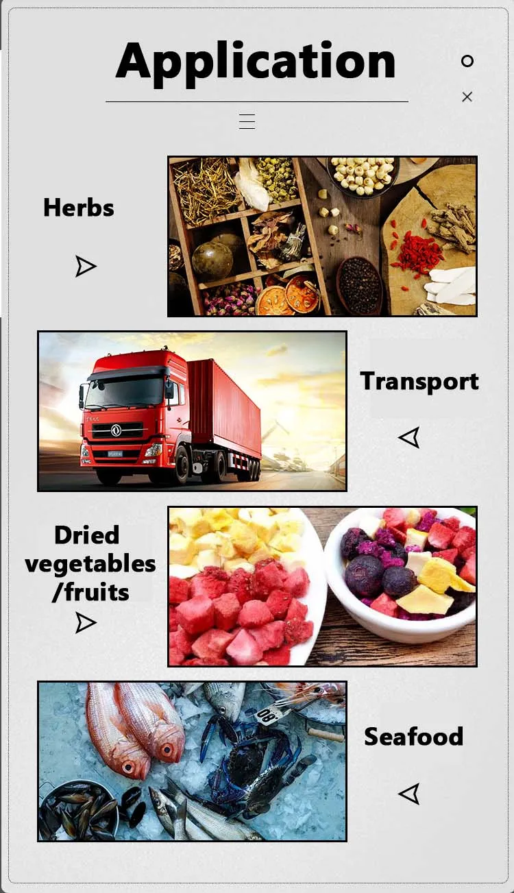 Drying Tray Traditional Chinese Medicine/ Seafood /Fruits / Vegetables Drying Plastic Tray