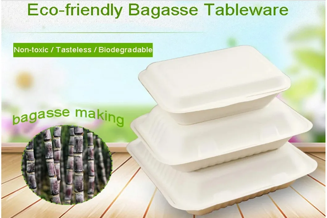 Eco-Friendly Wholesale Disposable Meal Microwave Take out Food Packaging