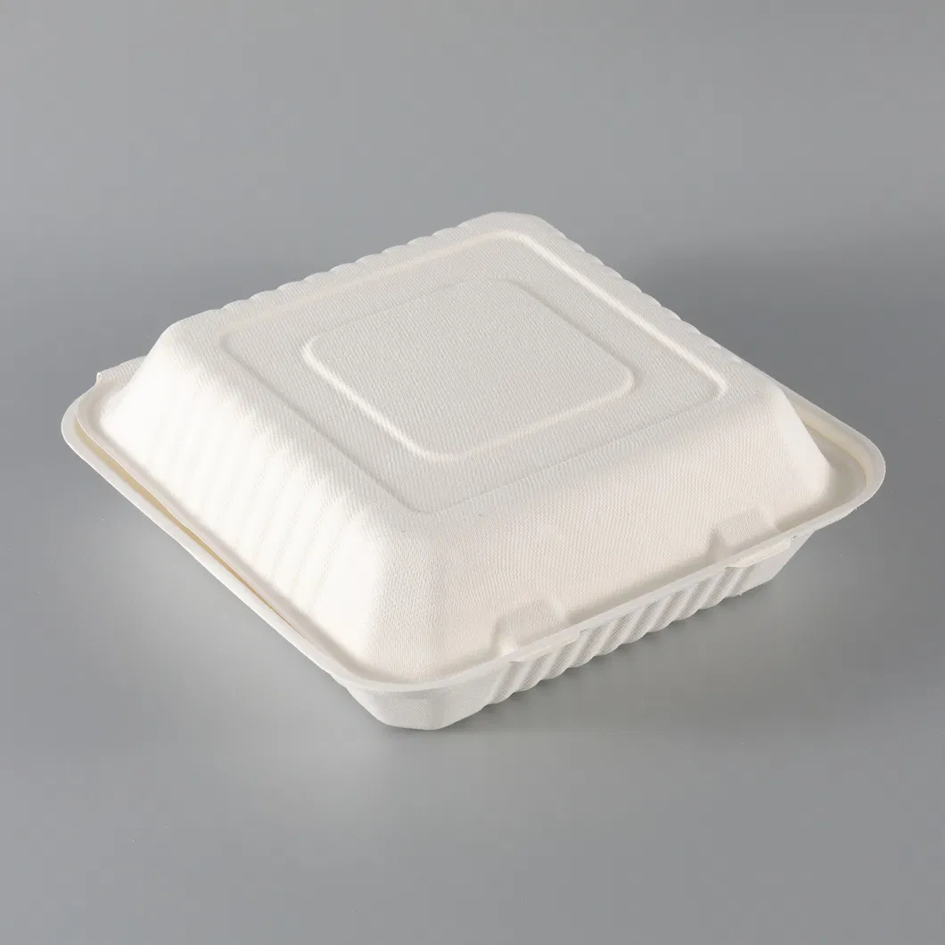 Eco-Friendly Wholesale Disposable Meal Microwave Take out Food Packaging