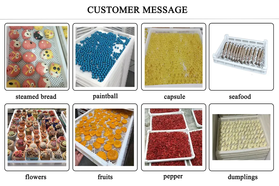 Food Grade Pasta Stackable Plastic Drying Tray for Fruit Food Dryer