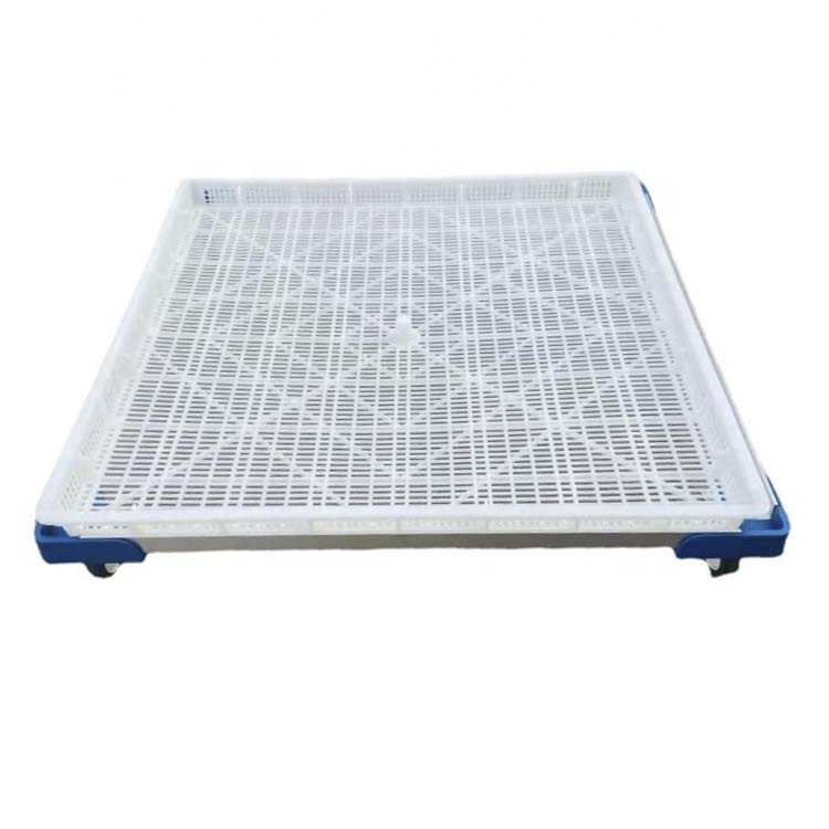 Food Grade Pasta Stackable Plastic Drying Tray for Fruit Food Dryer