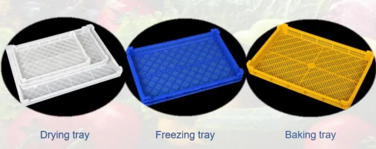 Food Grade Pasta Stackable Plastic Drying Tray for Fruit Food Dryer