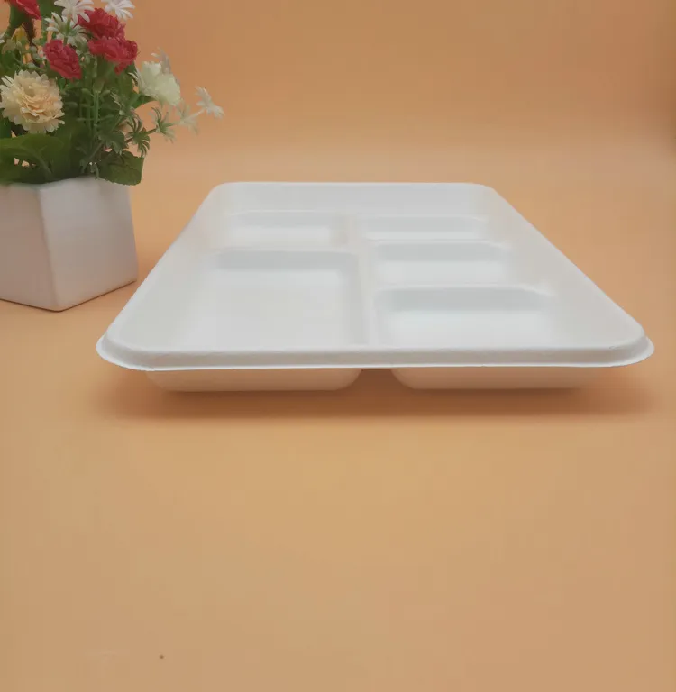 Heavy Capacity Biodegradable Disposable Sugarcane 6 Compartment Trays