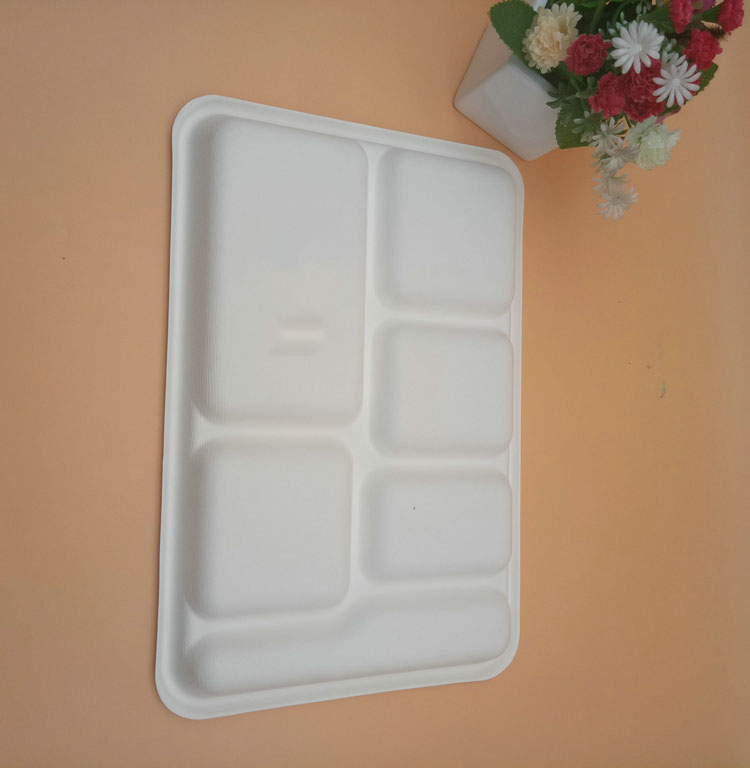 Heavy Capacity Biodegradable Disposable Sugarcane 6 Compartment Trays