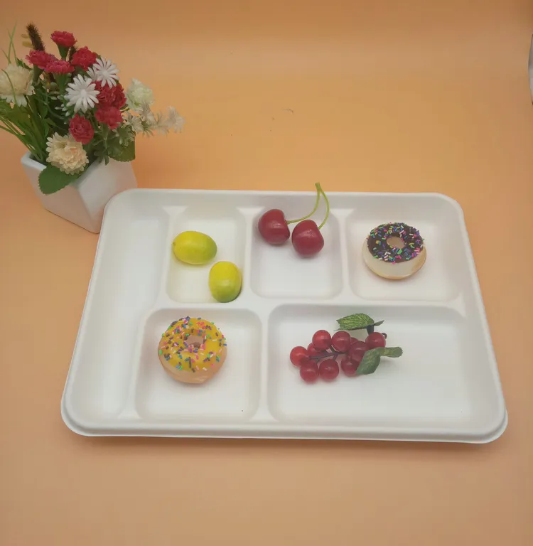 Heavy Capacity Biodegradable Disposable Sugarcane 6 Compartment Trays