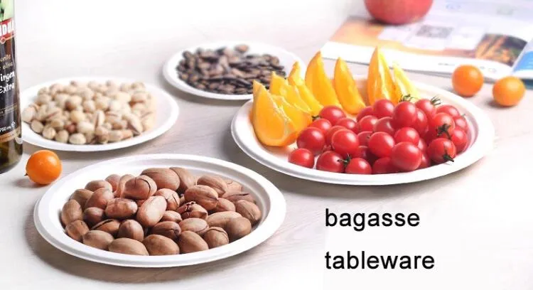 Heavy Capacity Biodegradable Disposable Sugarcane 6 Compartment Trays