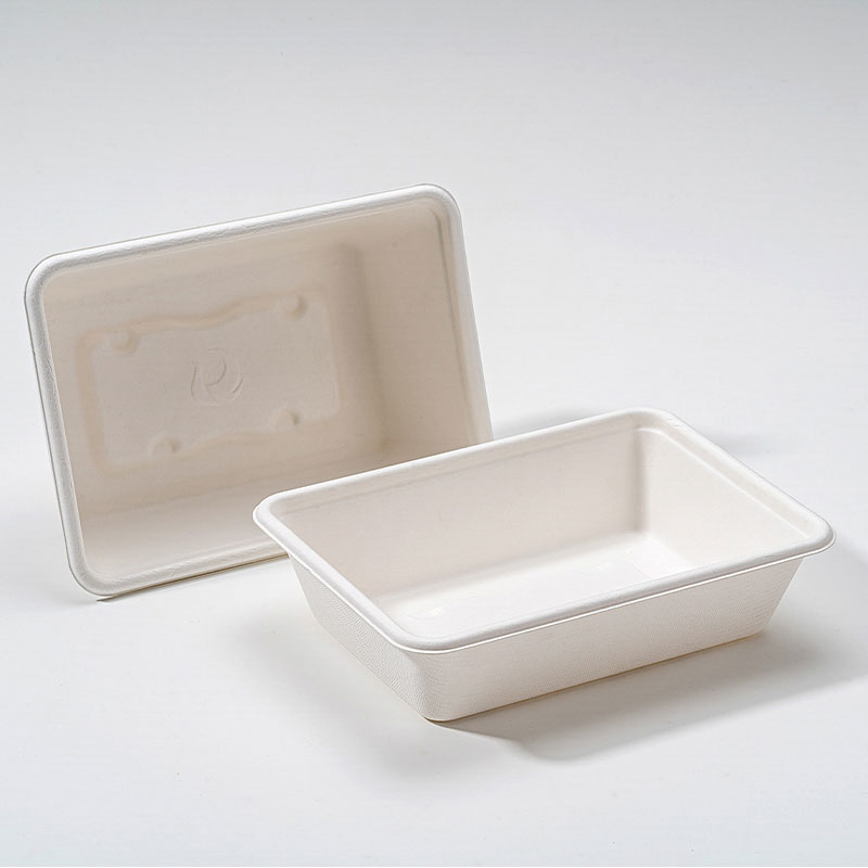 Bagasse Square Box 