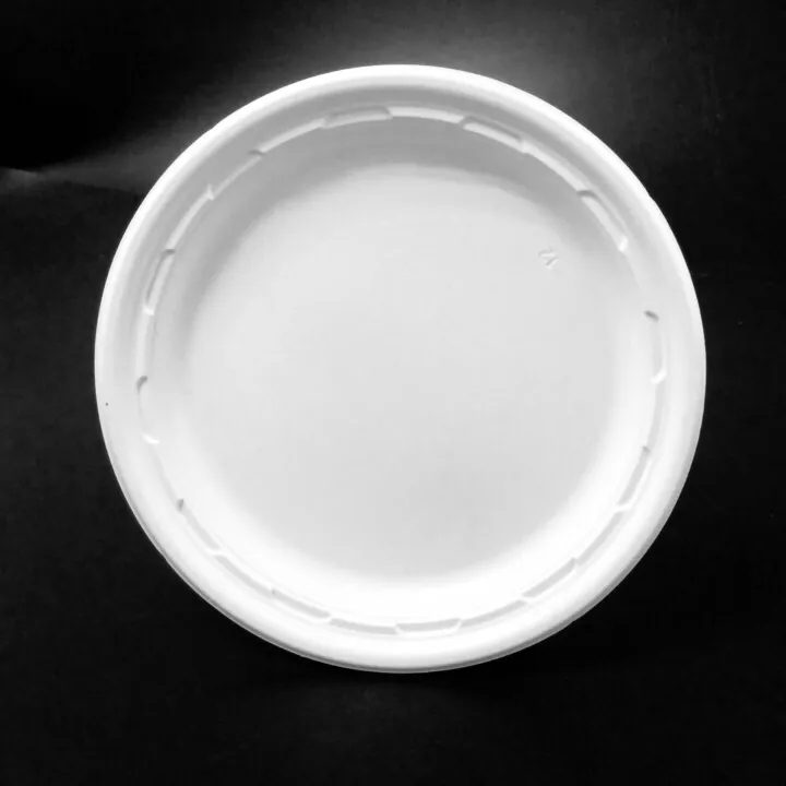 Just Eco-Friendly Biodegradable Disposable Food Container /Round Plate