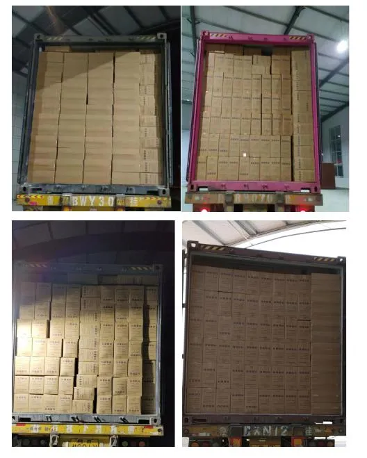 Just Eco-Friendly Biodegradable Disposable Food Container /Round Plate