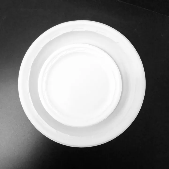 Just Eco-Friendly Biodegradable Disposable Food Container /Round Plate