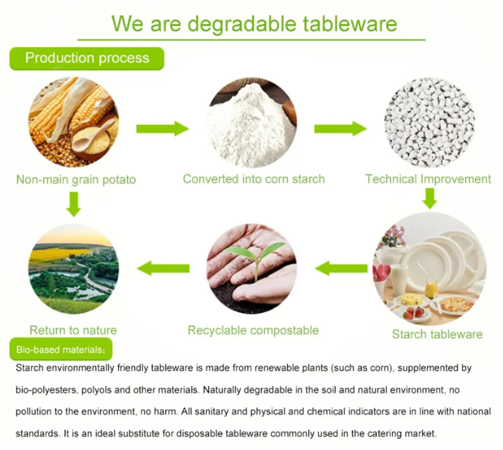 Microwave Biodegradable Disposable Food Container Portable Corn Starch Lunch Box Eco Friendly Food Packaging Freshness Preservation