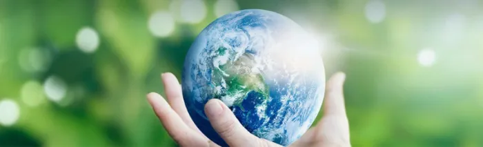 Qualified Sugarcane Tableware Compartment Take Away Food Box 850ml 2cp