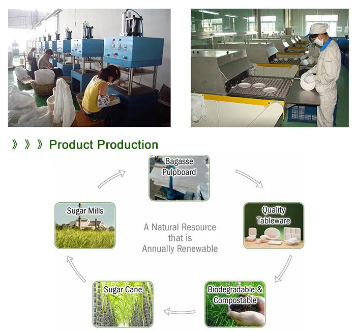 Take Away Biodegradable Sugarcane Bagasse Clam Shell Box