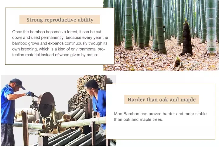 Tensoge Knots Chopsticks in Bulk