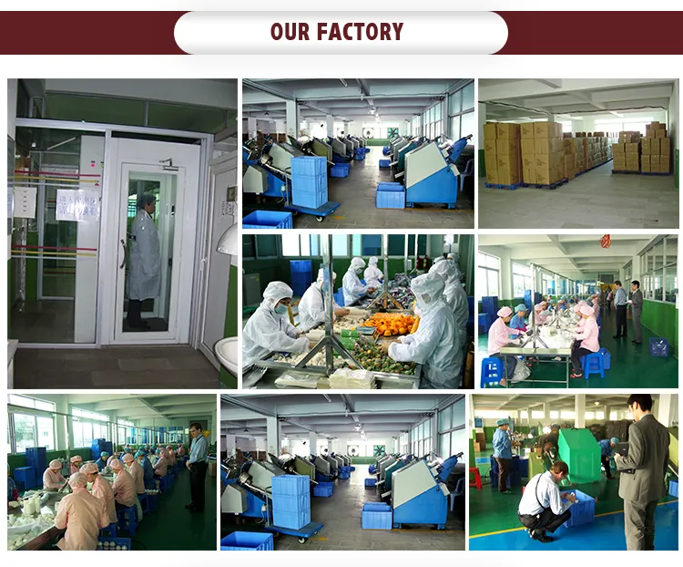 Wholesale Price Professional Different Shape and Colorful Cake Drum Boards Baking Cardboard Trays for Food Img-7591